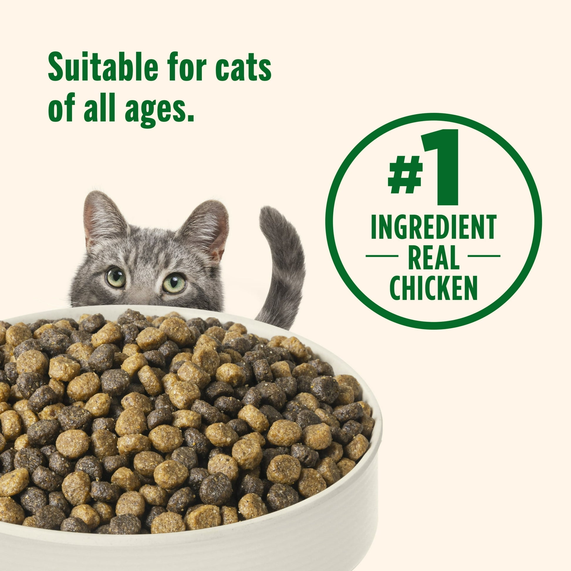 Image displaying text about the details of a dry cat food