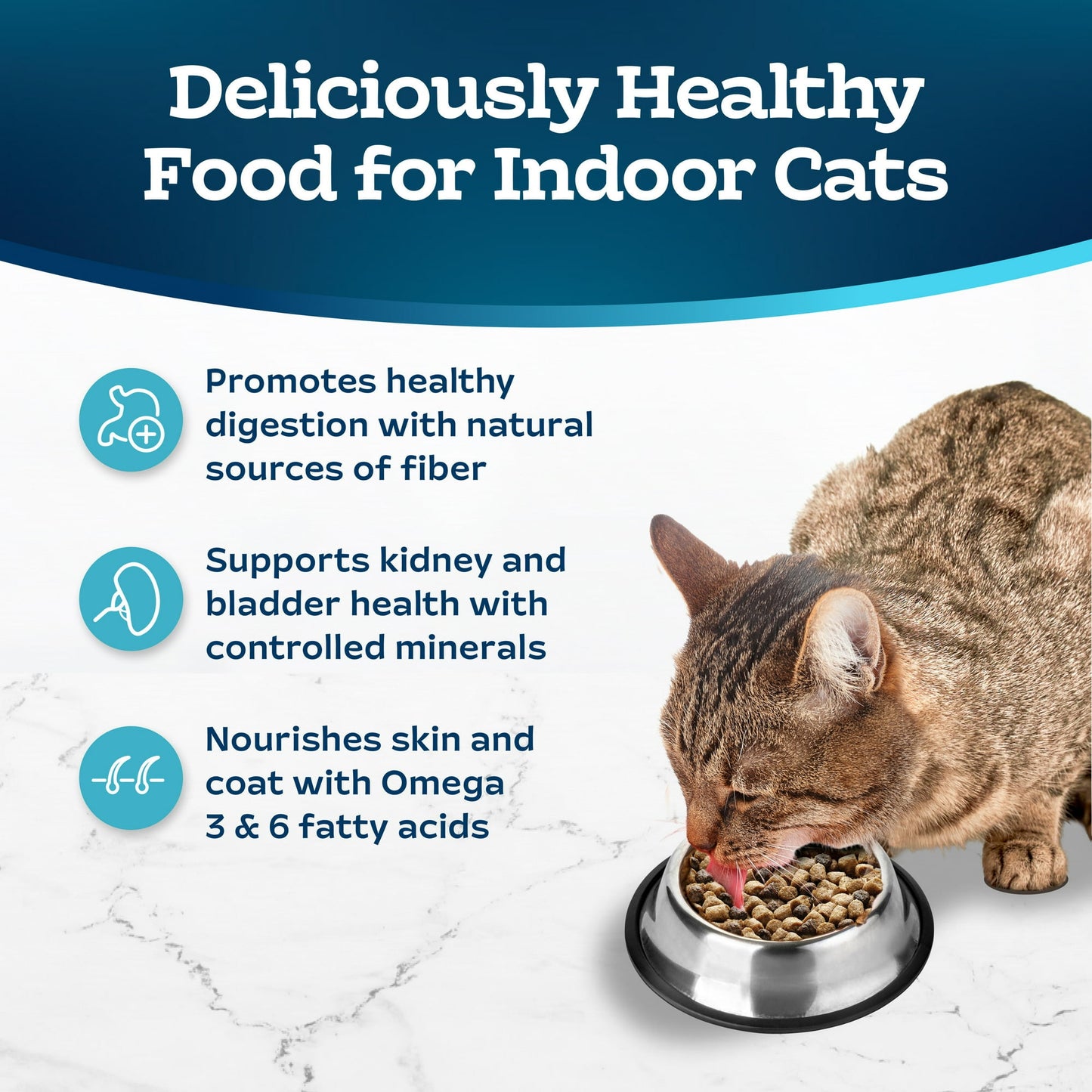 Image displaying text about the details of a dry cat food