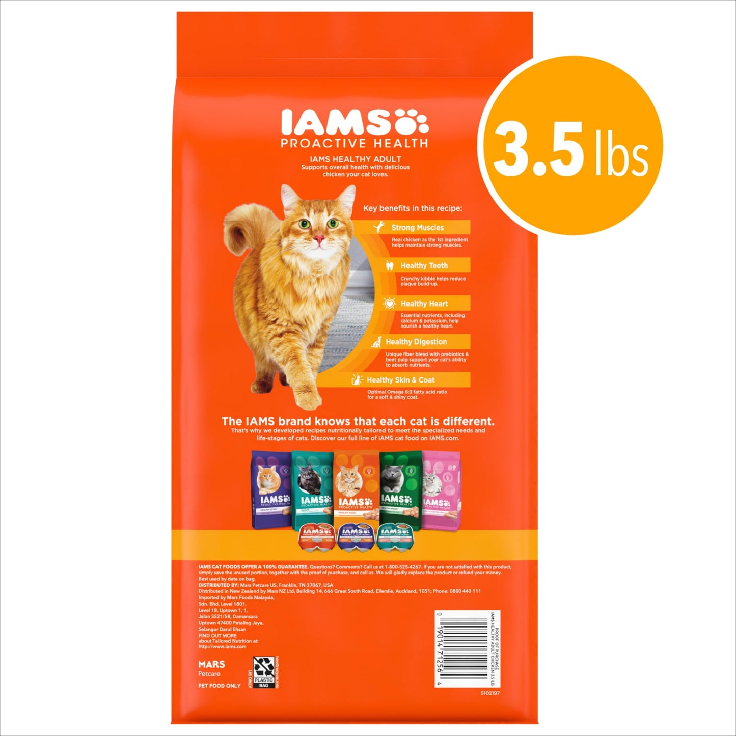 Pet dry cat food – wholesome nutrition for regular feeding to help support energy and overall health