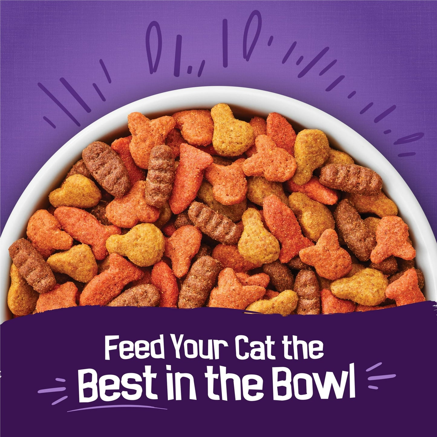 Image displaying text about the details of a dry cat food