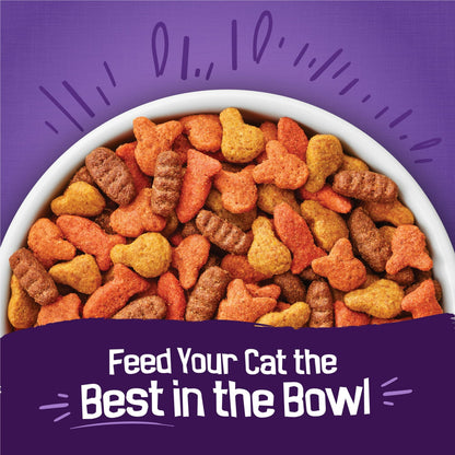 Image displaying text about the details of a dry cat food