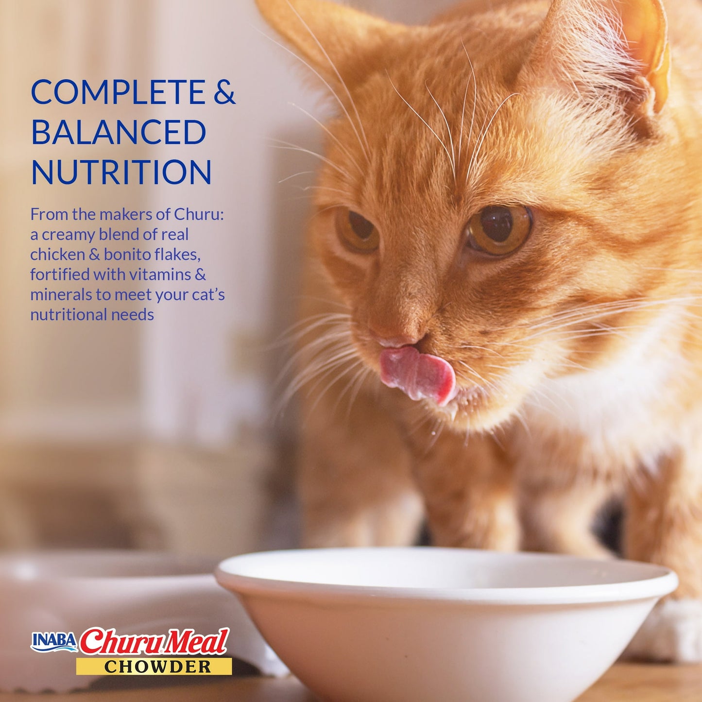 Image displaying text about the details of a Wet cat food