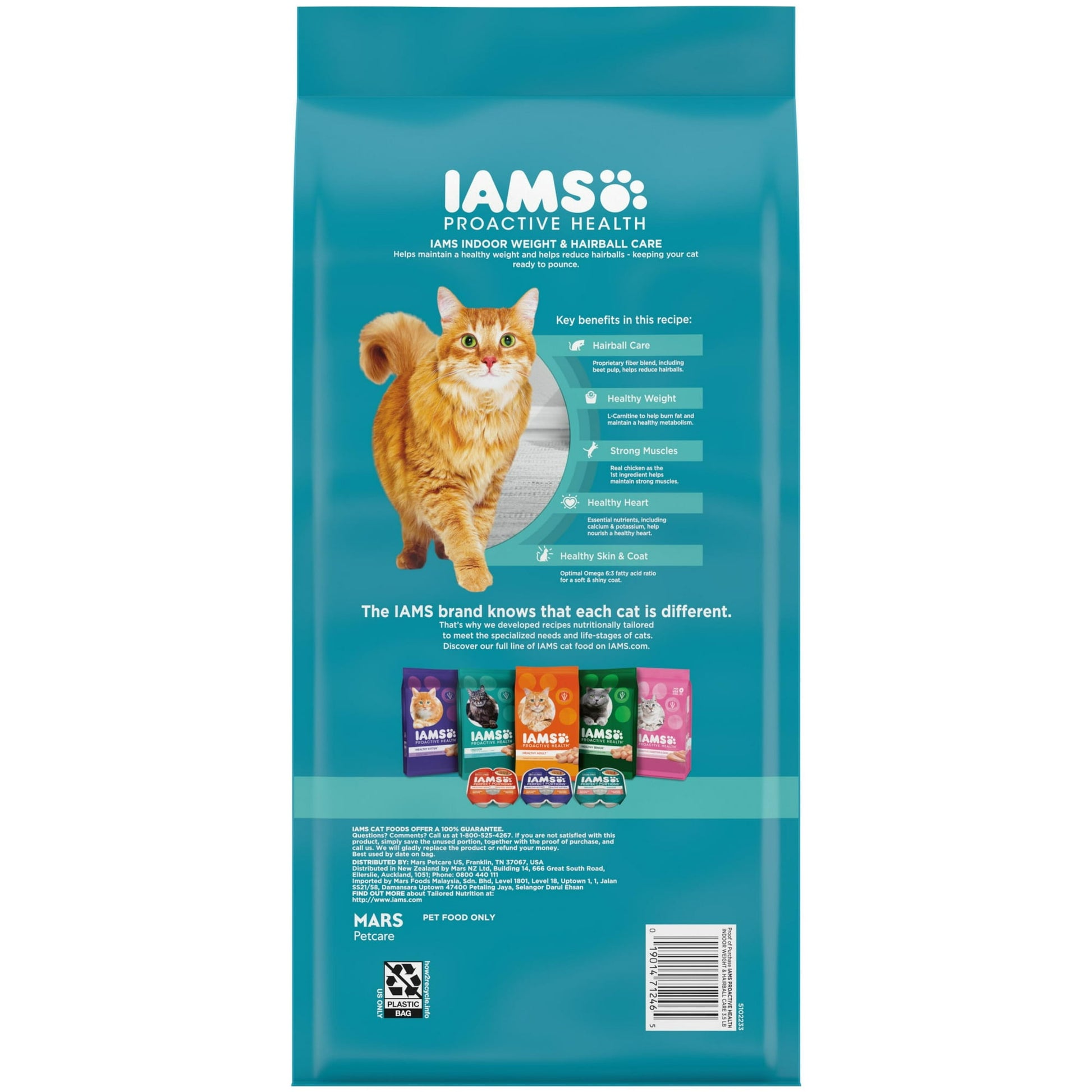 Pet dry cat food – wholesome nutrition for regular feeding to help support energy and overall health
